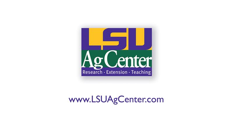 Sunshine Quality Solutions partners with Louisiana 4-H, Louisiana FFA to launch new agriculture internship program